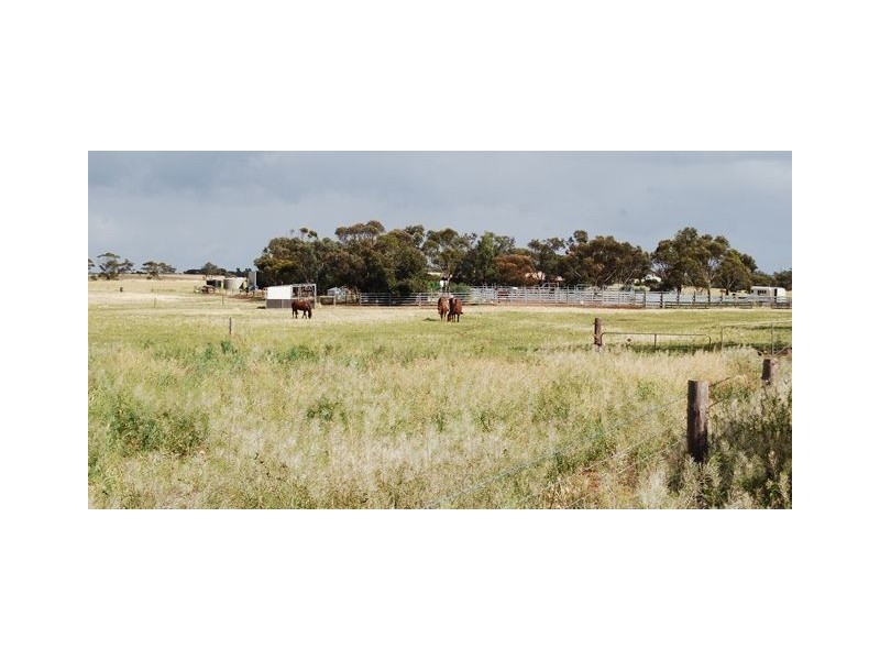 Sec 52 Yaninee, Yaninee SA 5653