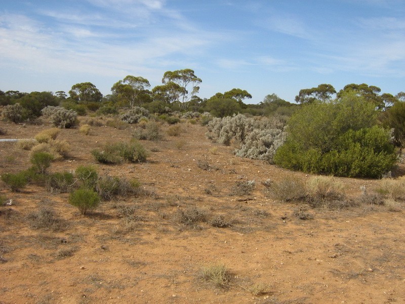 233 Hydes Road, Morgan SA 5320