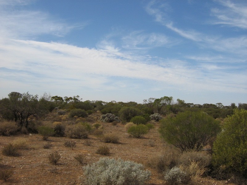 233 Hydes Road, Morgan SA 5320