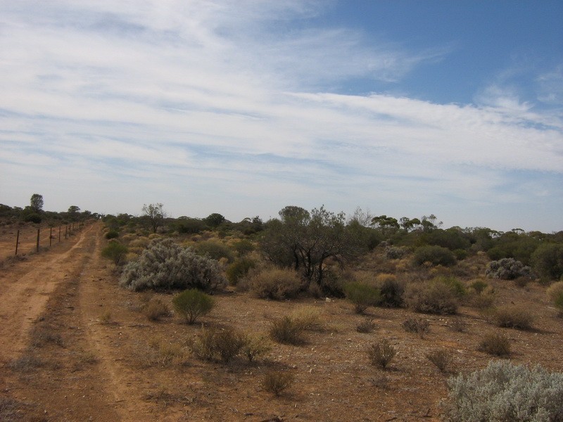 233 Hydes Road, Morgan SA 5320