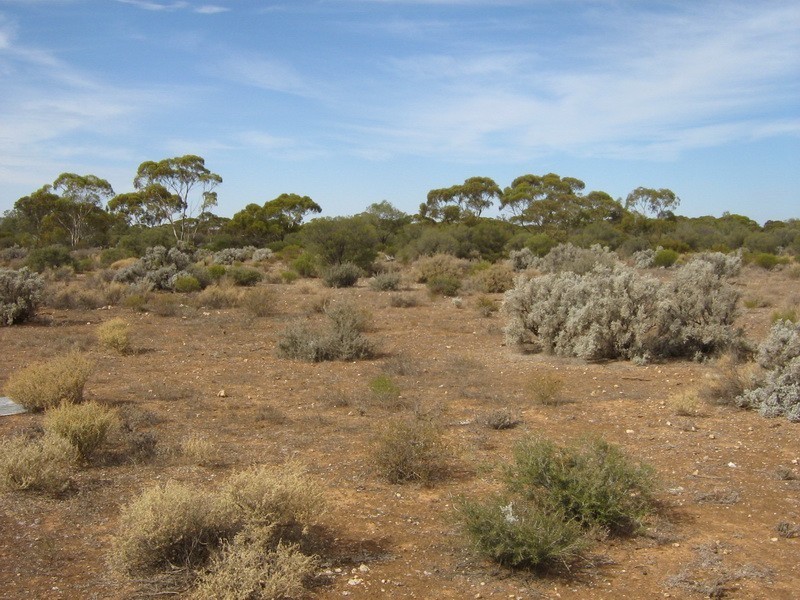 233 Hydes Road, Morgan SA 5320