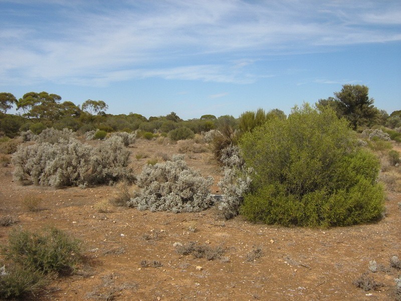 233 Hydes Road, Morgan SA 5320