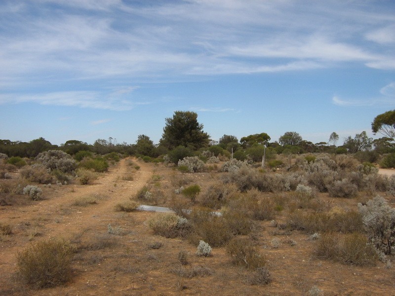 233 Hydes Road, Morgan SA 5320