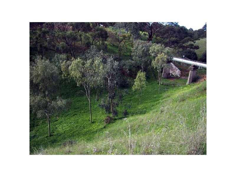 Lot 201 Tingara Road, Evanston Park SA 5116