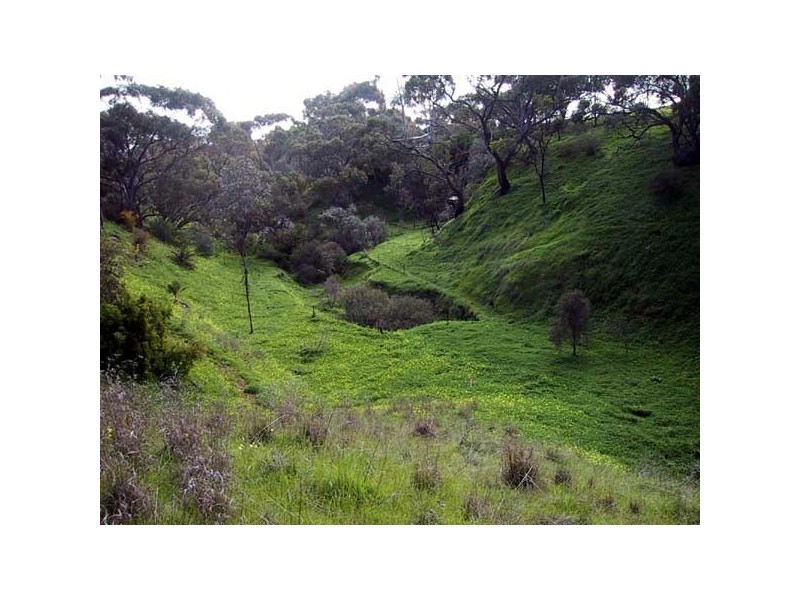 Lot 201 Tingara Road, Evanston Park SA 5116