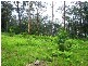 271 Tullouch Road, Berry NSW 2535