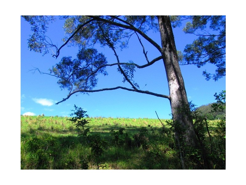 Lot 3 Cedar View Road, Berry NSW 2535