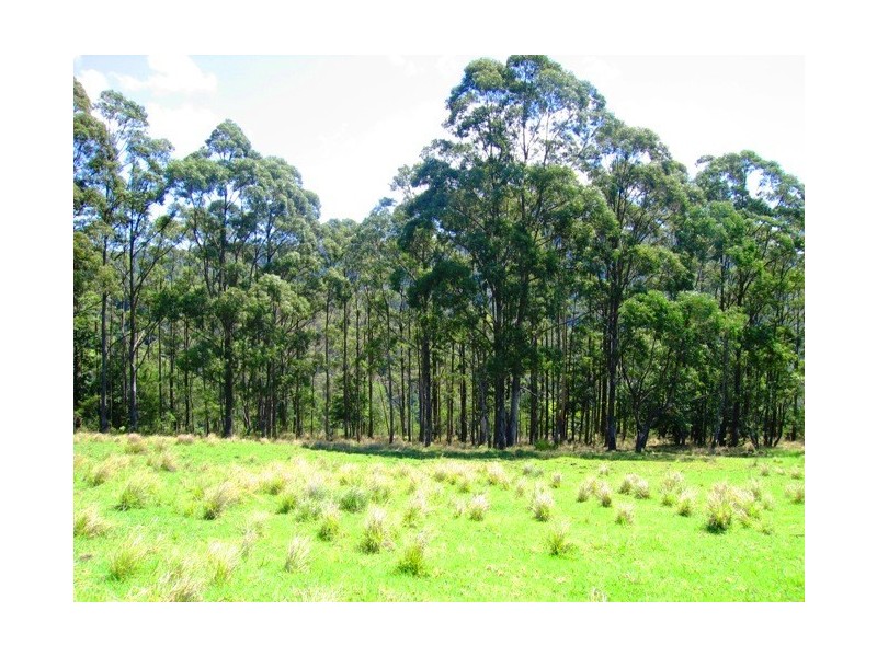 Lot 3 Cedar View Road, Berry NSW 2535