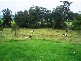 a112b Princes Hwy, Berry NSW 2535