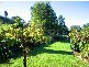 a112b Princes Hwy, Berry NSW 2535