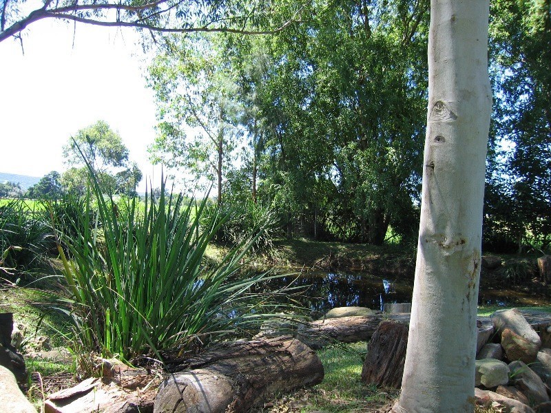 Lot 2 DP 1007873 North Street, Berry NSW 2535