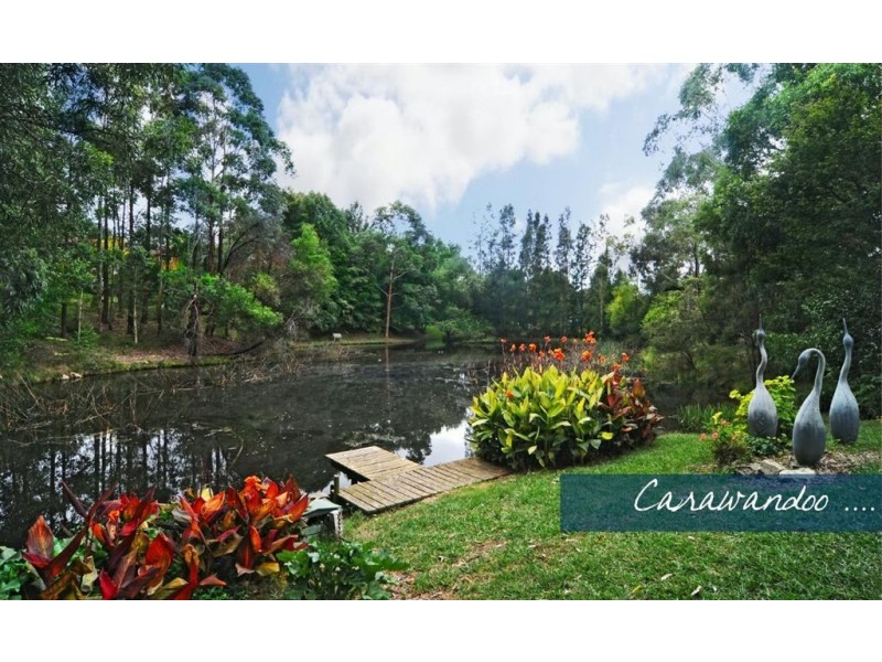 8 Kentia Cres, Berry NSW 2535