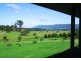 99B Harley Hill Road, Berry NSW 2535