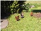 Kangaroo Valley NSW 2577