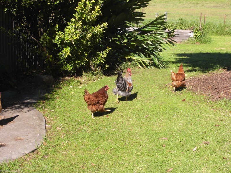 Kangaroo Valley NSW 2577