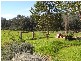 Kangaroo Valley NSW 2577