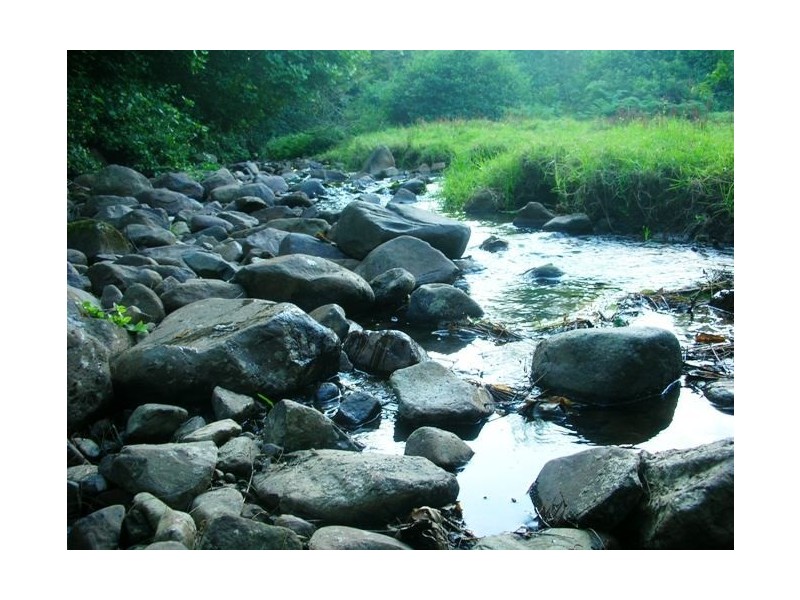 175 Bundewallah Rd, Berry NSW 2535