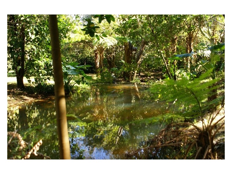 190 Tindalls Lane, Berry NSW 2535