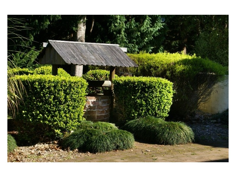 190 Tindalls Lane, Berry NSW 2535