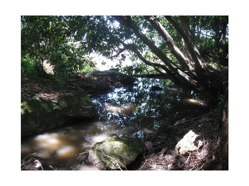 590 Tourist Road, Berry NSW 2535