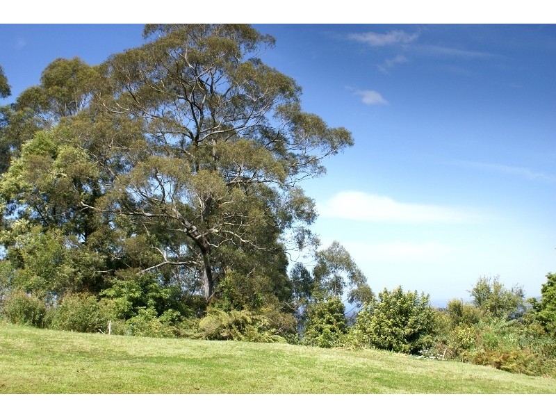 589 Woodhill Mountain Road, Berry NSW 2535