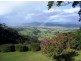 590 Tourist Rd, Berry NSW 2535