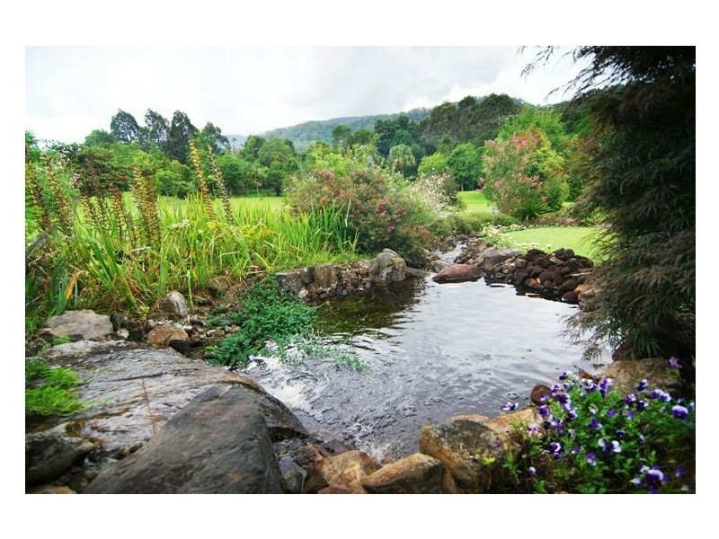 25 Hillandale Rd, Berry NSW 2535