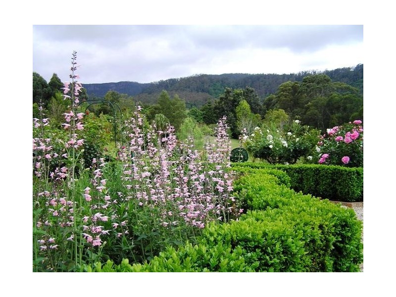 25 Hillandale Rd, Berry NSW 2535