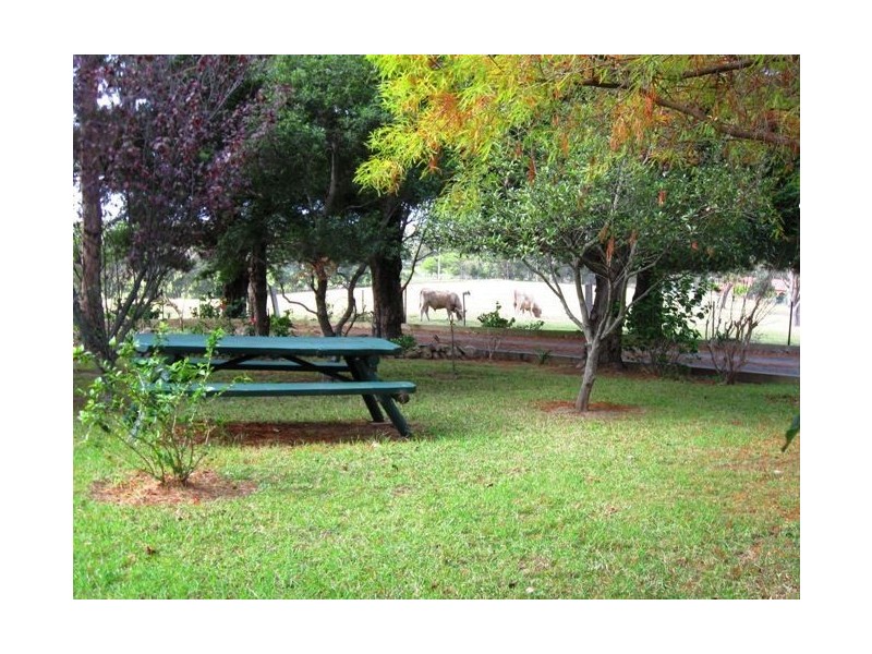 131 Coolangatta Rd, Berry NSW 2535