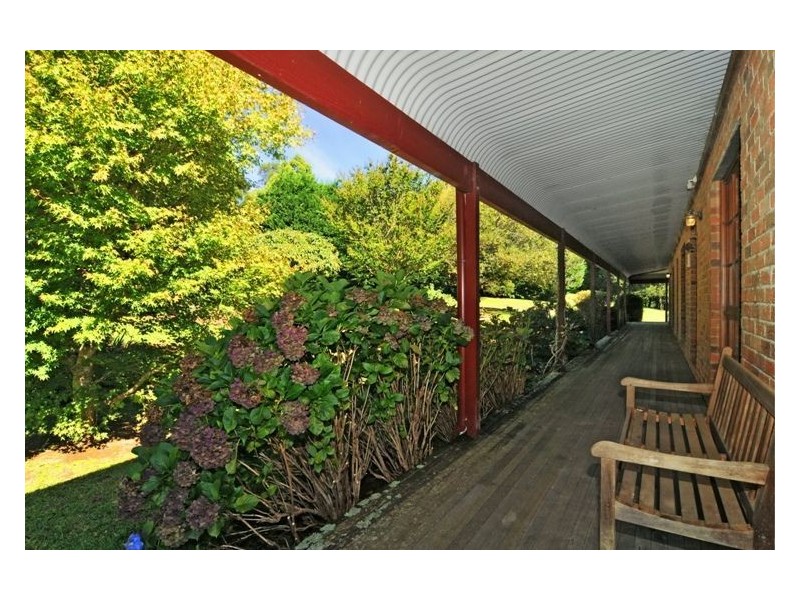 555 Tourist Rd, Berry NSW 2535