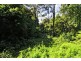 555 Tourist Rd, Berry NSW 2535