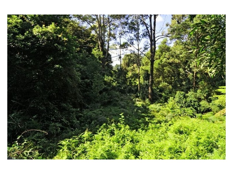 555 Tourist Rd, Berry NSW 2535