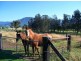 1087a Meroo Road, Meroo Meadow NSW 2540