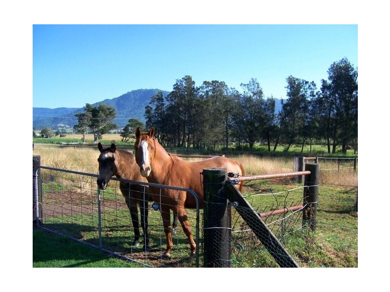1087a Meroo Road, Meroo Meadow NSW 2540