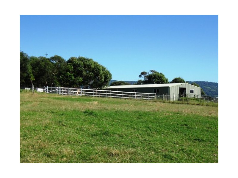 515 Back Forest Road, Berry NSW 2535
