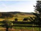 249 Bryces Road, Berry NSW 2535