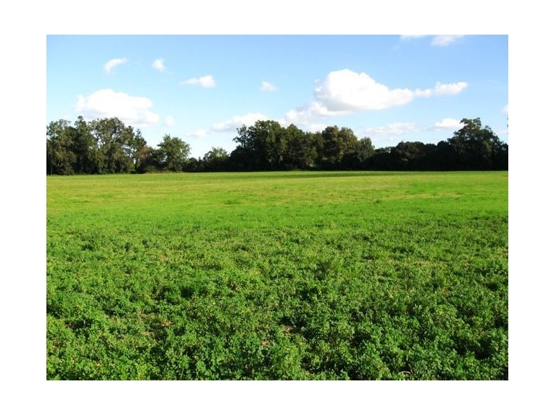 59 Woodhill Mountain Rd, Berry NSW 2535