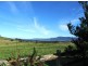 249 Bryces Road, Berry NSW 2535