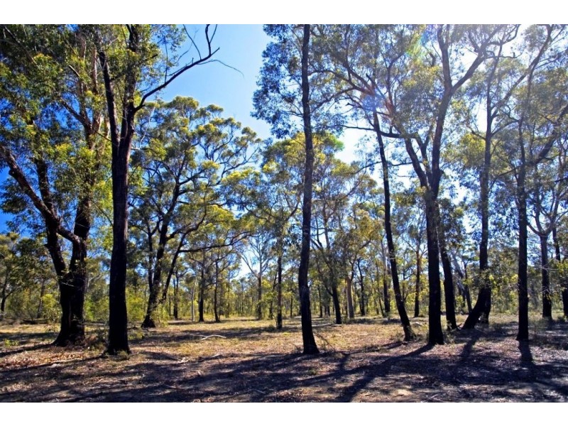 Lots/2 3 4 5 Gannet Road, Nowra Hill NSW 2540