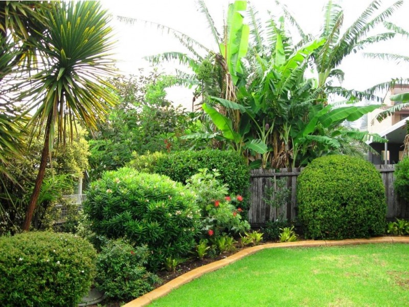 6 Osborne Street, Gerringong NSW 2534