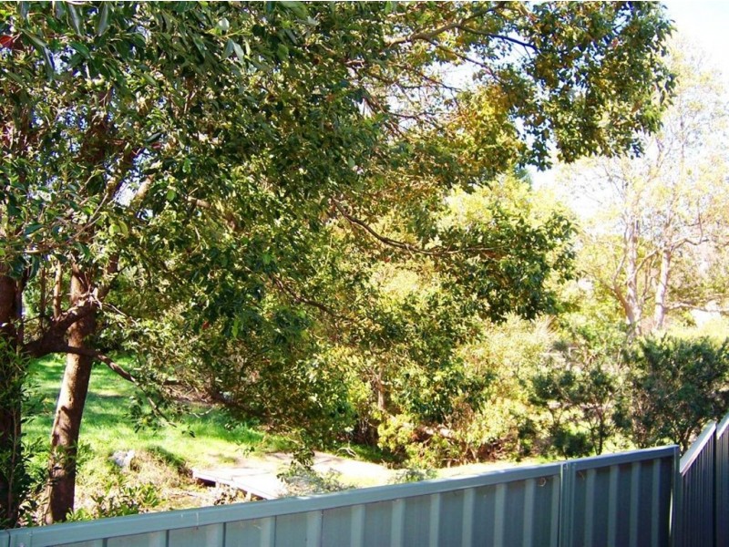 26 Queen Street, Berry NSW 2535