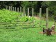1521d Moss Vale Road, Kangaroo Valley NSW 2577