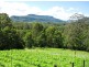 1521d Moss Vale Road, Kangaroo Valley NSW 2577