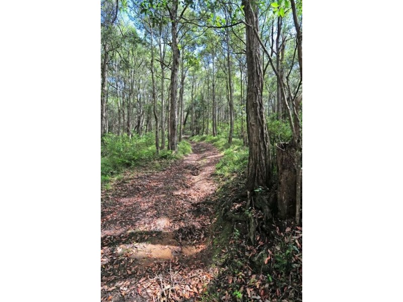 278 Agars Lane, Berry NSW 2535