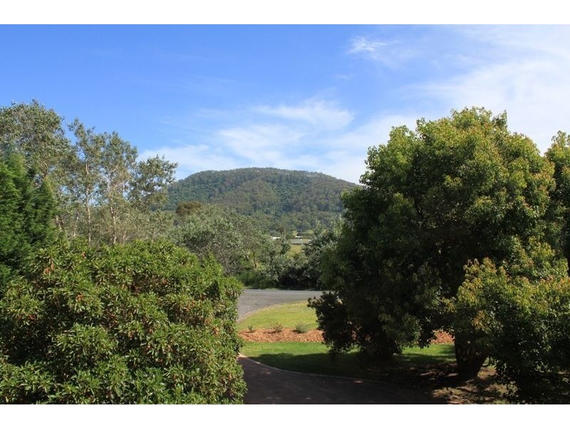 1260 Bolong Road, Berry NSW 2535