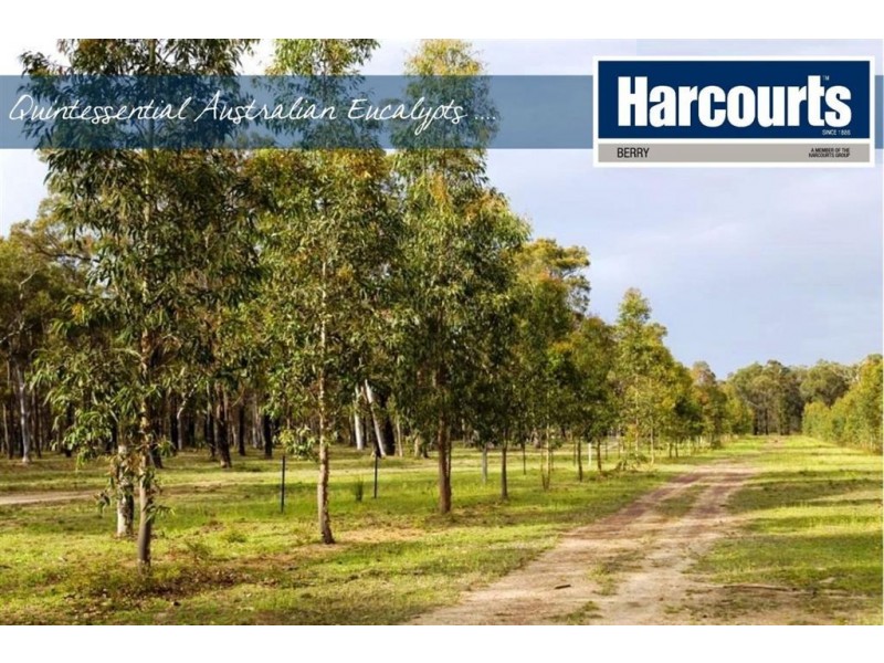 937 Yalwal Rd, Nowra Hill NSW 2540