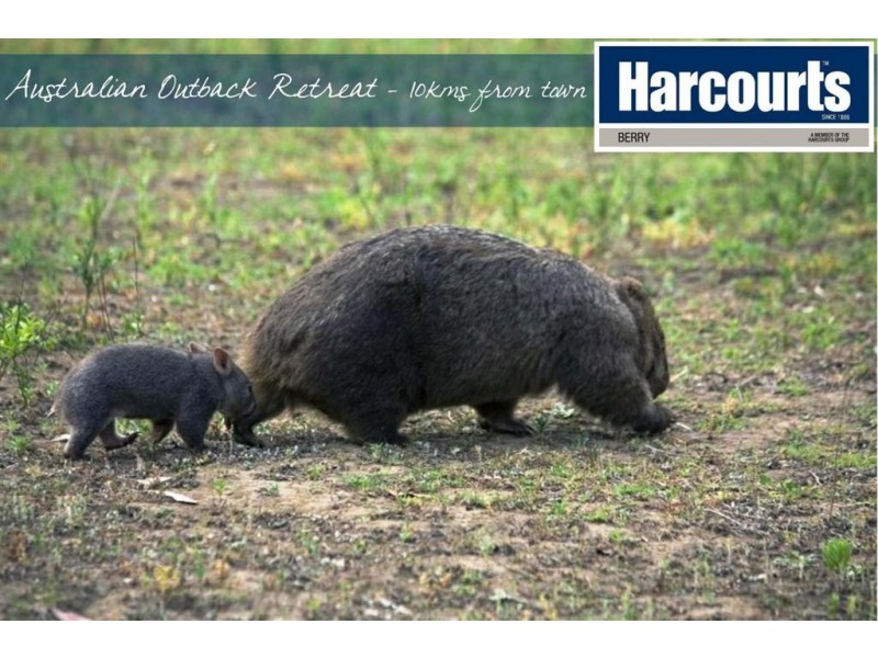 937 Yalwal Rd, Nowra Hill NSW 2540