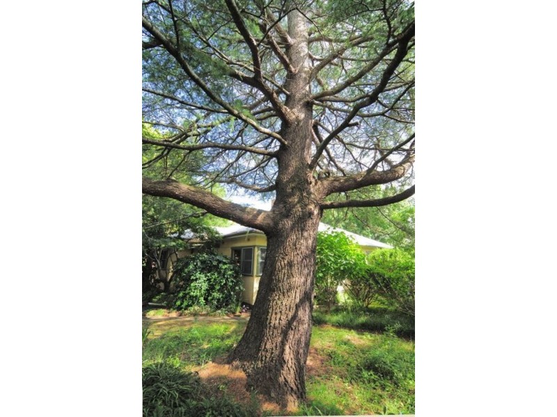 21 Victoria Street, Berry NSW 2535