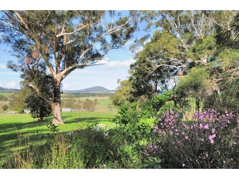 51 Andersons Lane, Berry NSW 2535