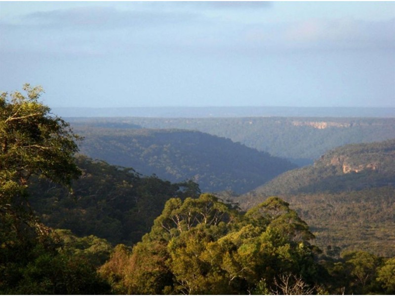 4008 Braidwood Road, Sassafras NSW 2622